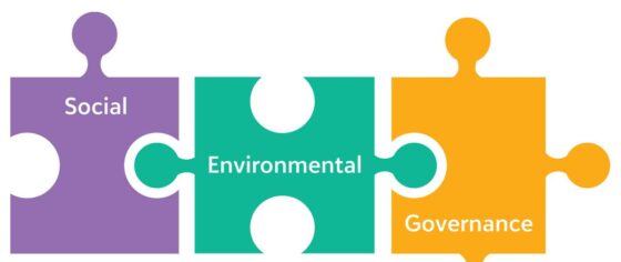 social, environment, governance puzzle pieces fitting together